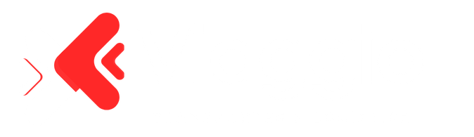 Viaggio-Transportes e Logística, Lda