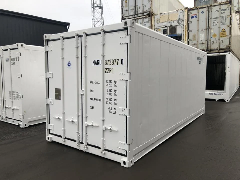 Contentor Refrigerado Thermo King 20 Pés