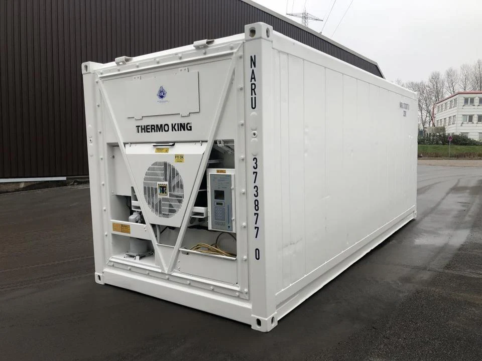 Contentor Refrigerado Thermo King 20 Pés - Image 3